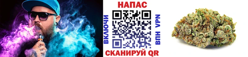 Бошки Шишки семена  Мелеуз 